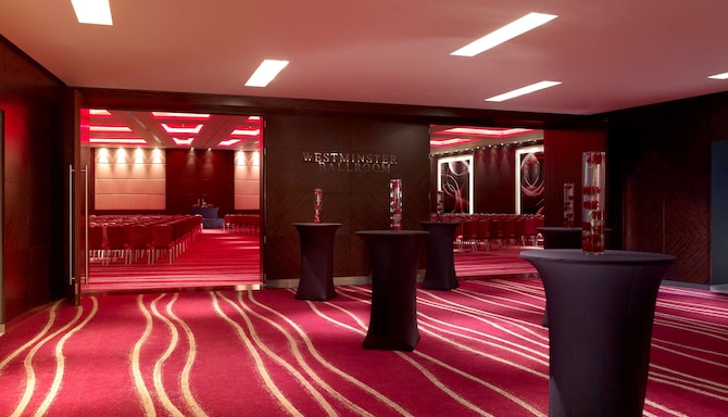 exhibitions