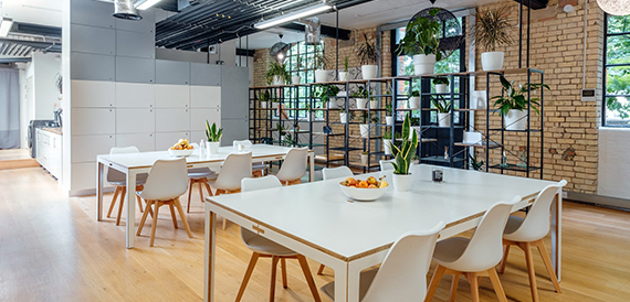 Communal dining area with white tables, wooden chairs and a plant-filled shelving divider
