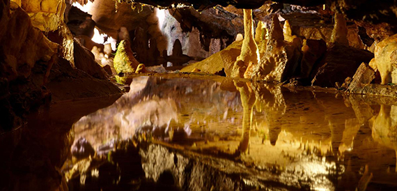 Cave stalactites illuminated in gold light and reflected in still water