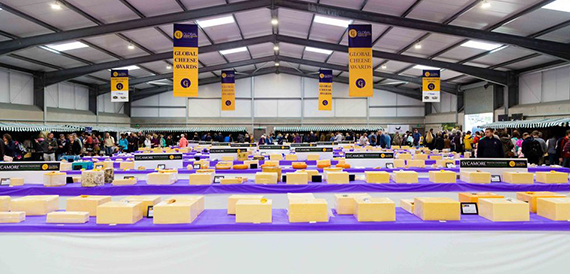 Rows of cheese entries laid out under Global Cheese Awards banners.