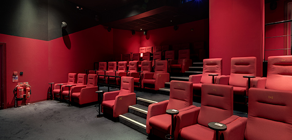 Cinema auditorium with red seats and a taxidermy bird mounted on the wall