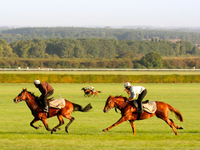 photo_2-2