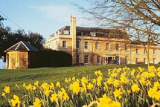 Manor house exterior with daffodils blooming across the lawn